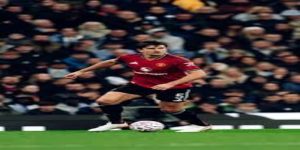 布莱顿VS曼联：海鸥能否终结主场不胜魔咒 -ag官网