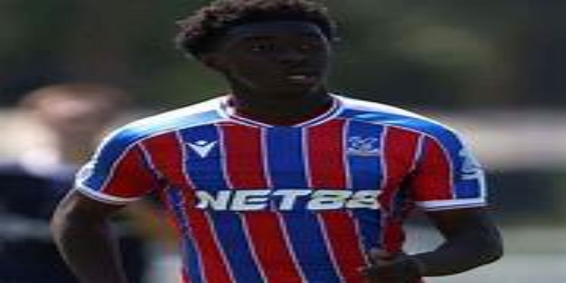 从布伦特福德弃儿到水晶宫主力 - ag官网